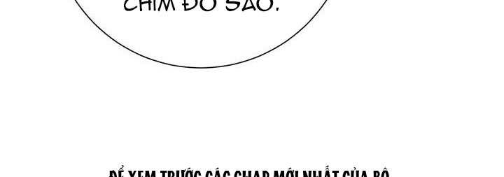 công chúa của loài chim chapter 50.1 248