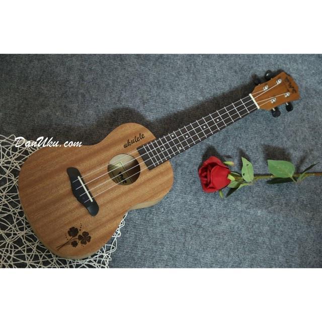 Ukulele concert 23 inch