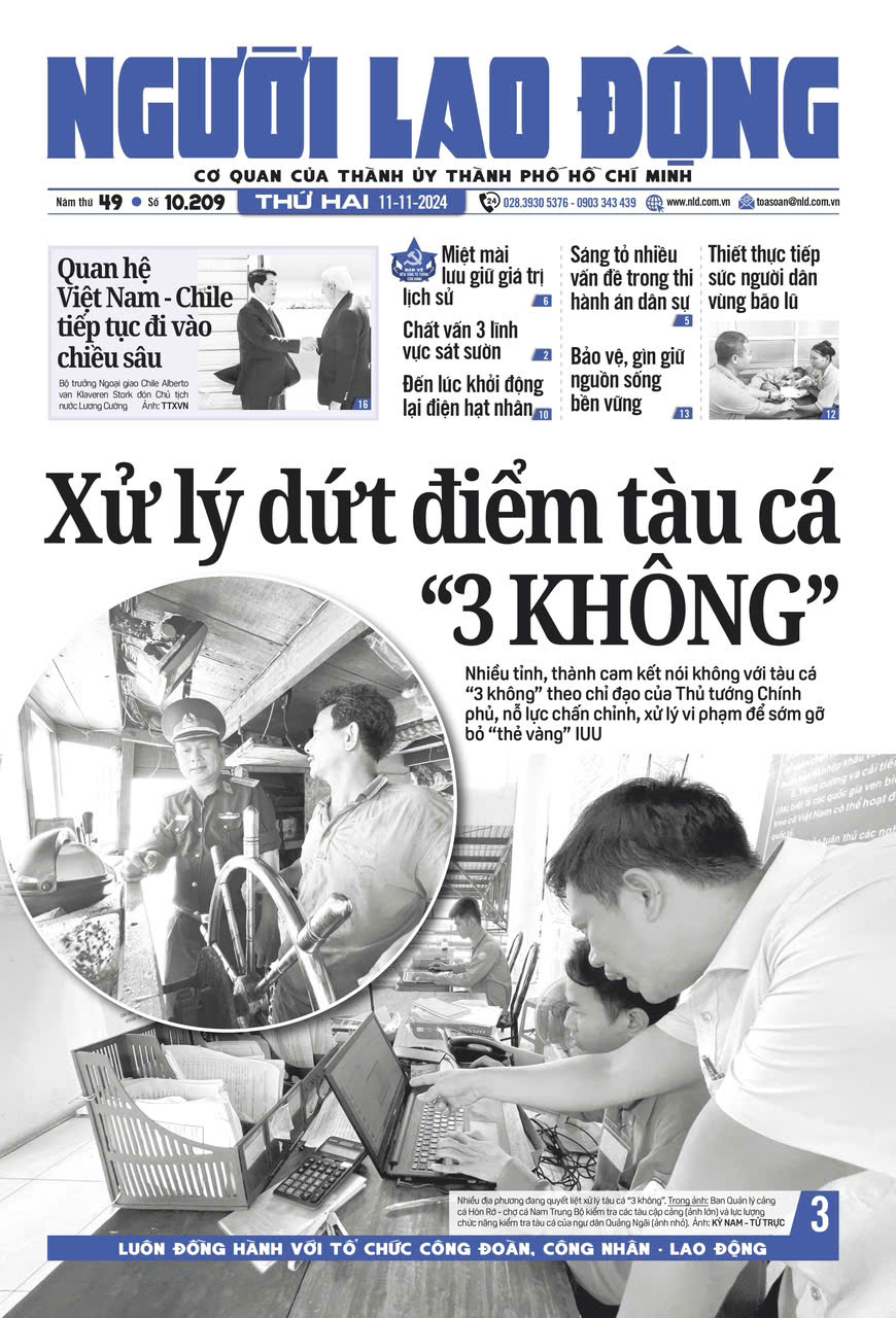 Nhật báo Người Lao Động từ ngày 11-11-2024 đến 17-11-2024
