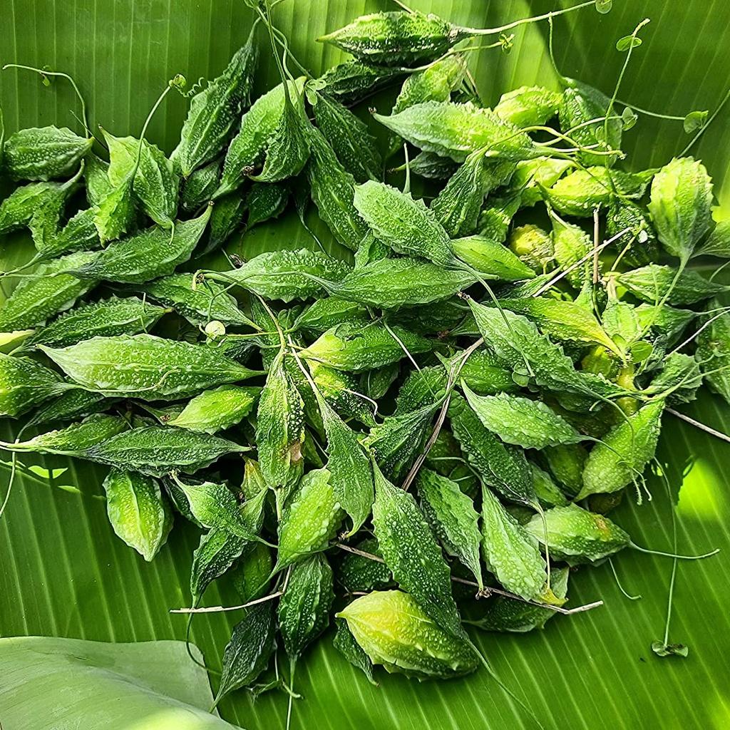 Hạt giống Khổ Qua Rừng gói 1gr
