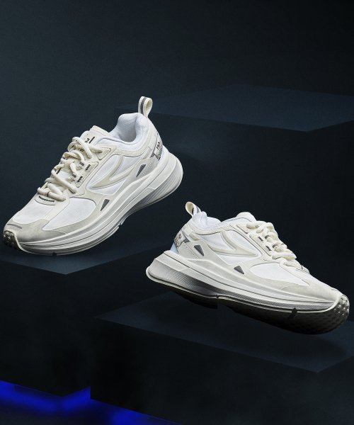 fila project 7 curvelet