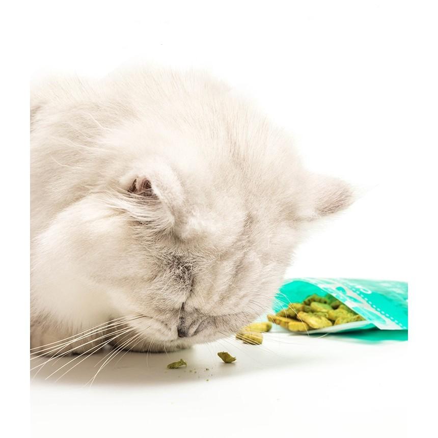 BÁNH QUY THƯỞNG CATNIP DÀNH CHO MÈO