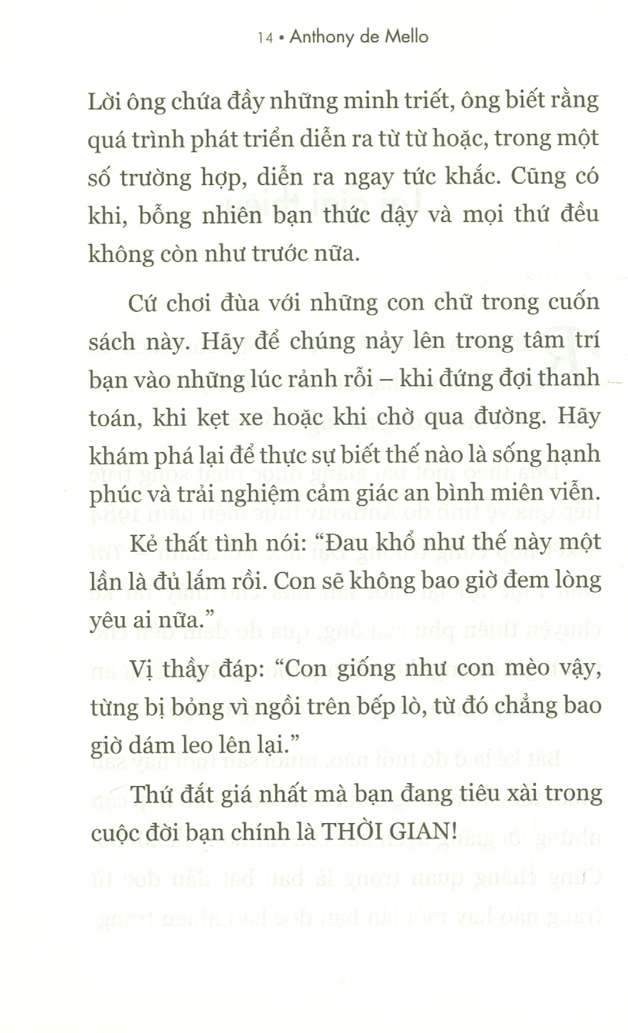 Tái Sinh Thực Tại