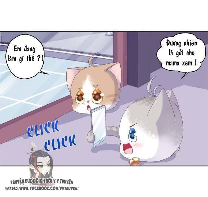 dụ hoặc miêu yêu chapter 20.5 34