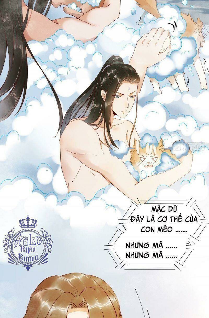sát thủ vương phi không dễ chọc chapter 41 5