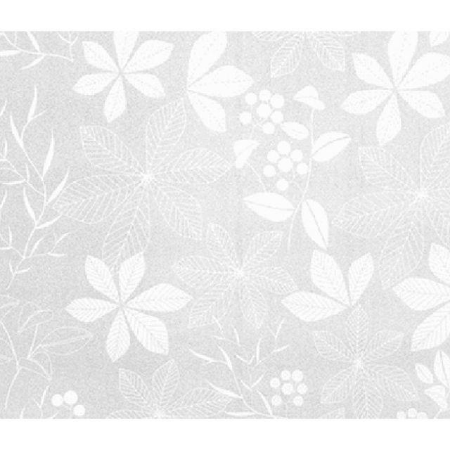 5m decal kính khổ 60cm. Mẫu lá trắng.