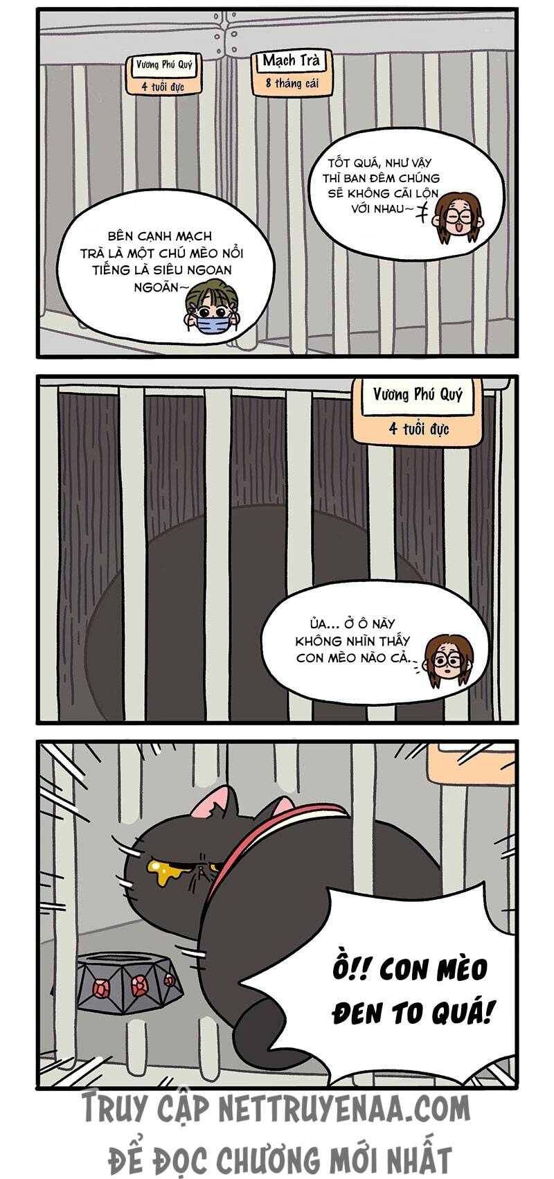 a mãn và mạch trà chapter 14 2