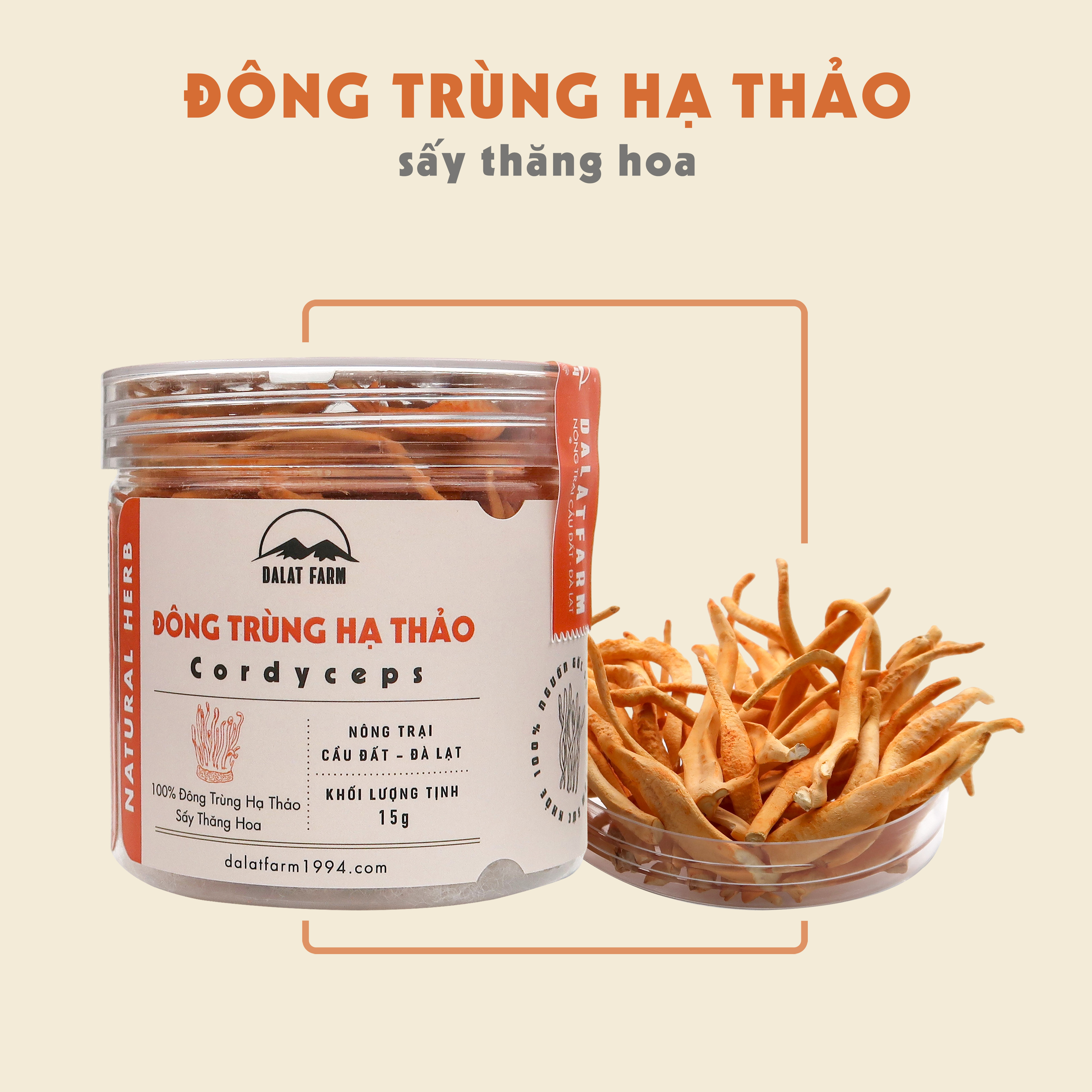 Đông Trùng Hạ Thảo Sấy Thăng Hoa DalatFarm - Hộp 15 g