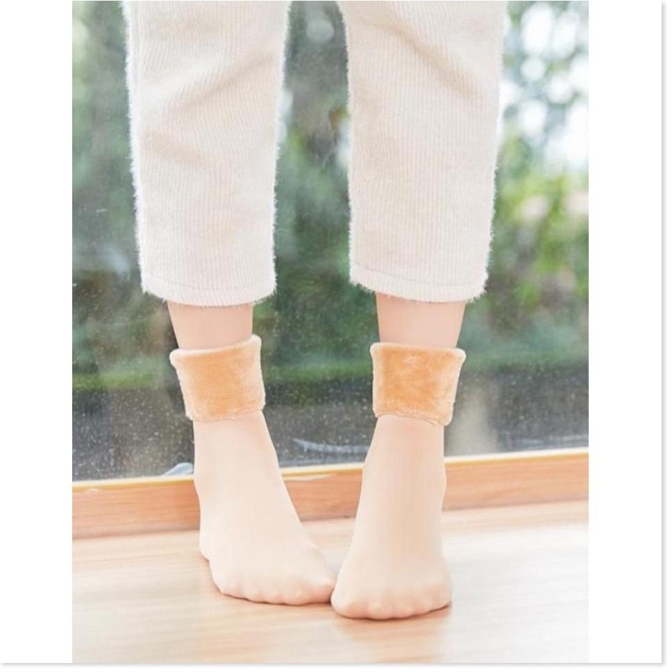 Tất Lông Cừu Giữ Ấm Cho Mùa Đông - Ankle Socks