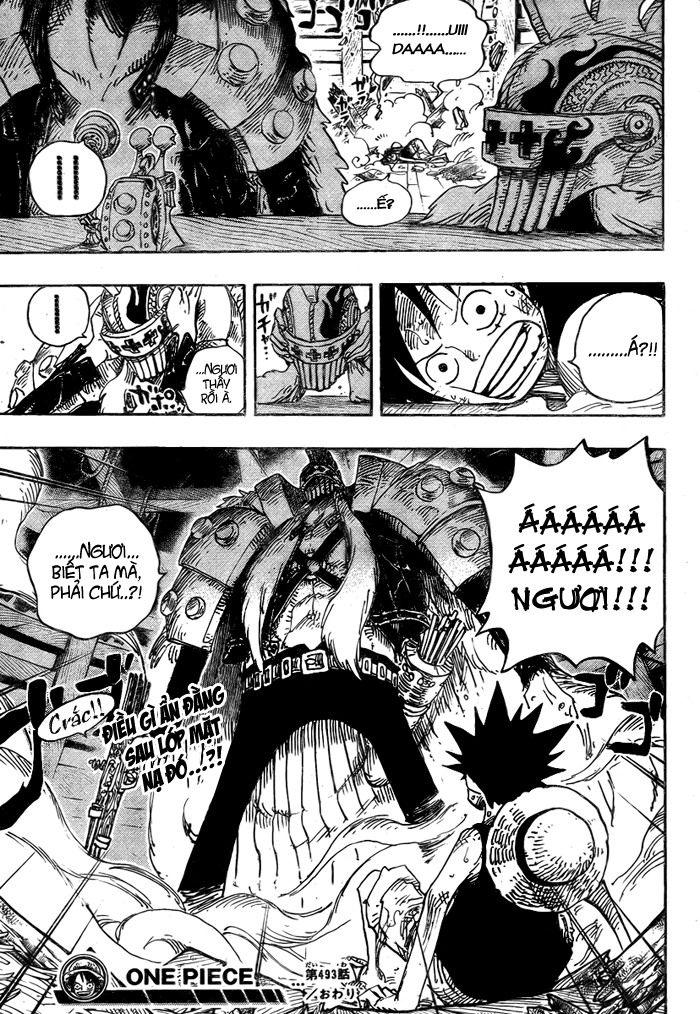 đảo hải tặc - one piece chapter 493 22