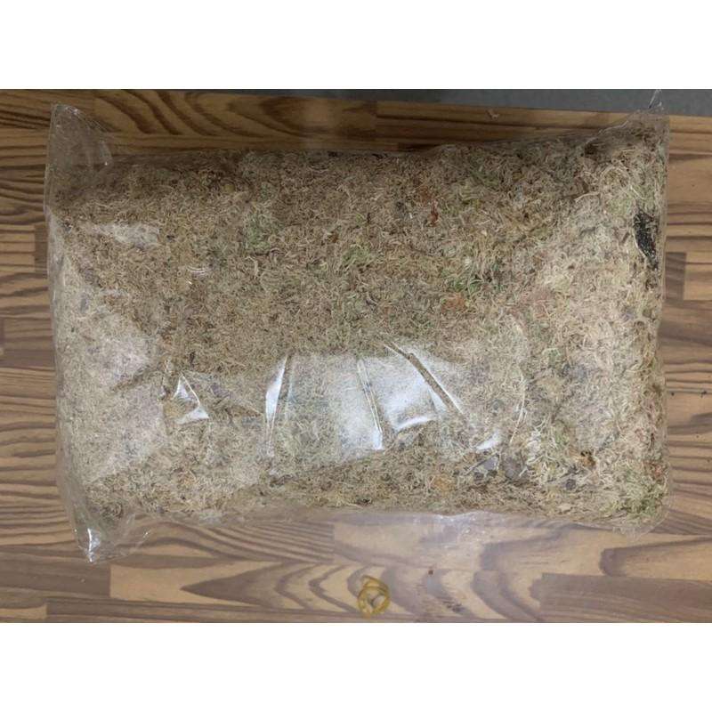 Dớn Chile trắng hàng xịn trắng giữ ẩm tốt gói 100gram