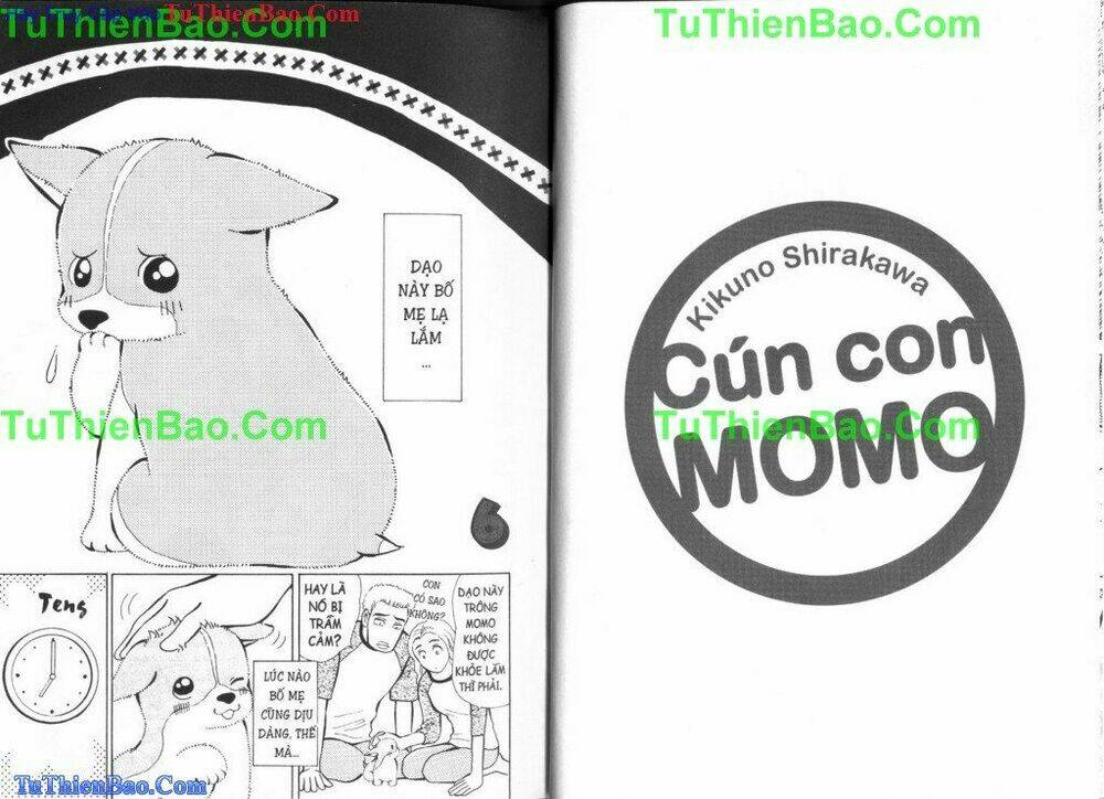 chó con mo mo chapter 5 20