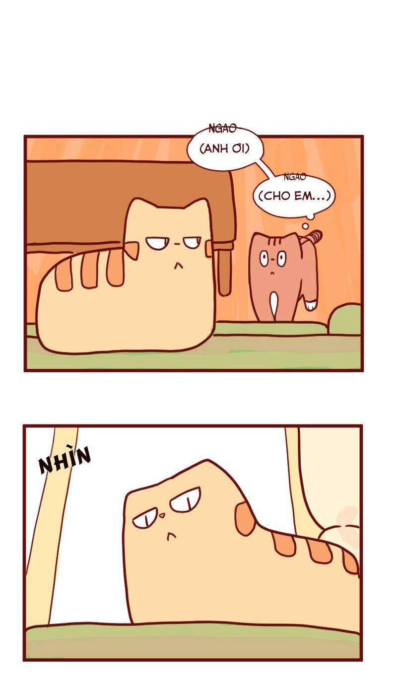 saphie: chú mèo một mắt chapter 14 4