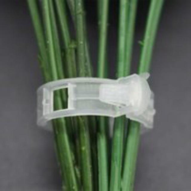 KẸP TRÒN ĐỊNH VỊ CÂY DÂY LEO 20 cái