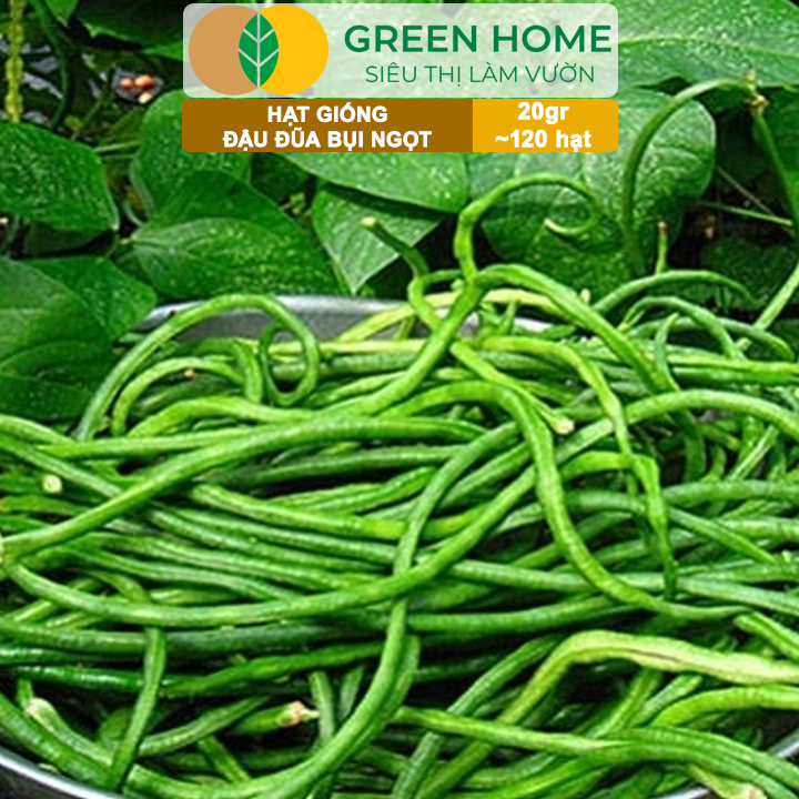 Hạt Giống Đậu Đũa Ngọt Lùn, Greenhome, Gói 20GR~120 hạt, Dễ Trồng Quanh Năm, Nảy Mầm Cao, T37