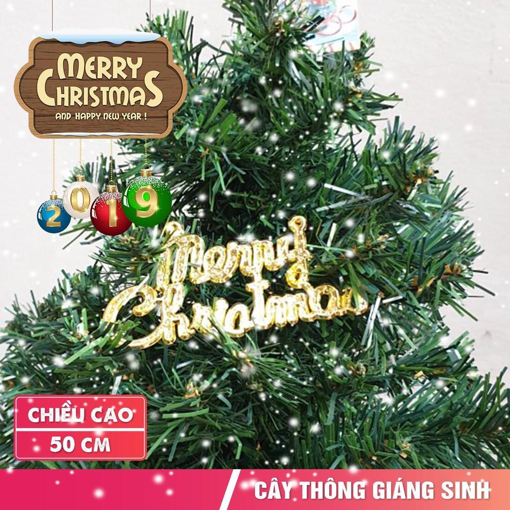 Cây Thông Mini Màu Hường Và Màu Xanh - Tặng Kèm Chữ Merry Christmas - Cây Thông Noel 50CM