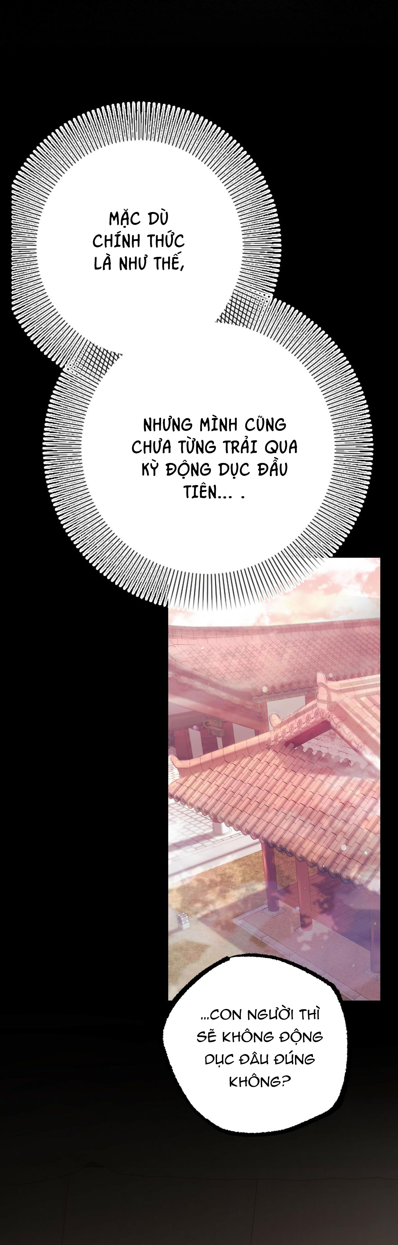 những chú thỏ của hapypy chapter 12 45
