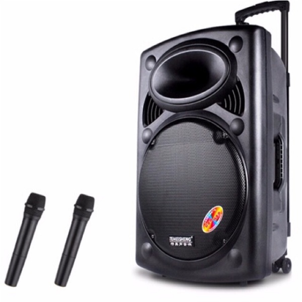 Loa kéo di động karaoke Temeisheng LA015/Model A108 (BASS 40CM) - Hàng chính hãng