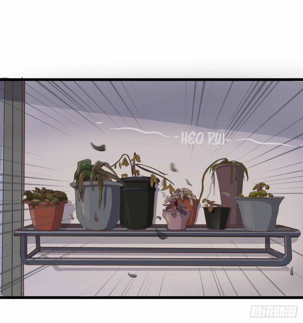 phi nhiên hướng phong chapter 8 11