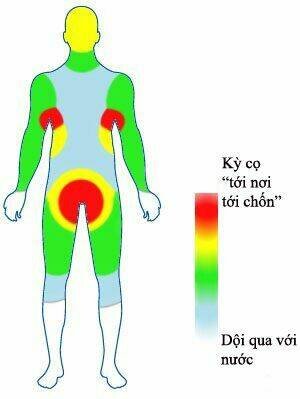 rage comic-troll chapter 50 10