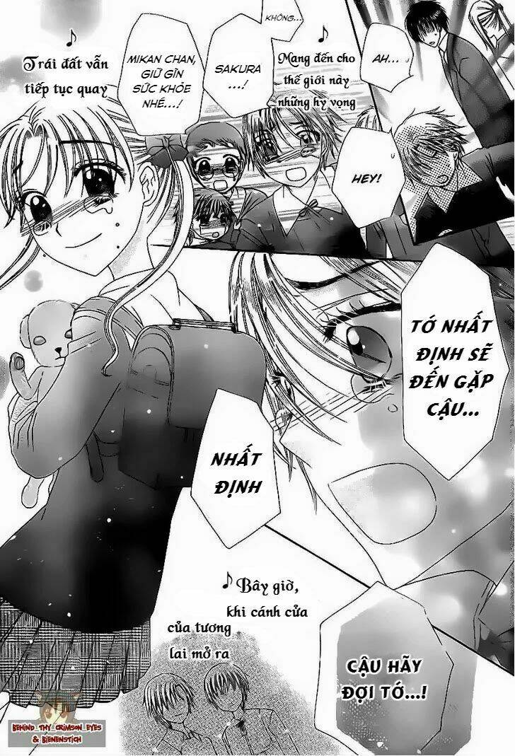 gakuen alice chapter 177 13