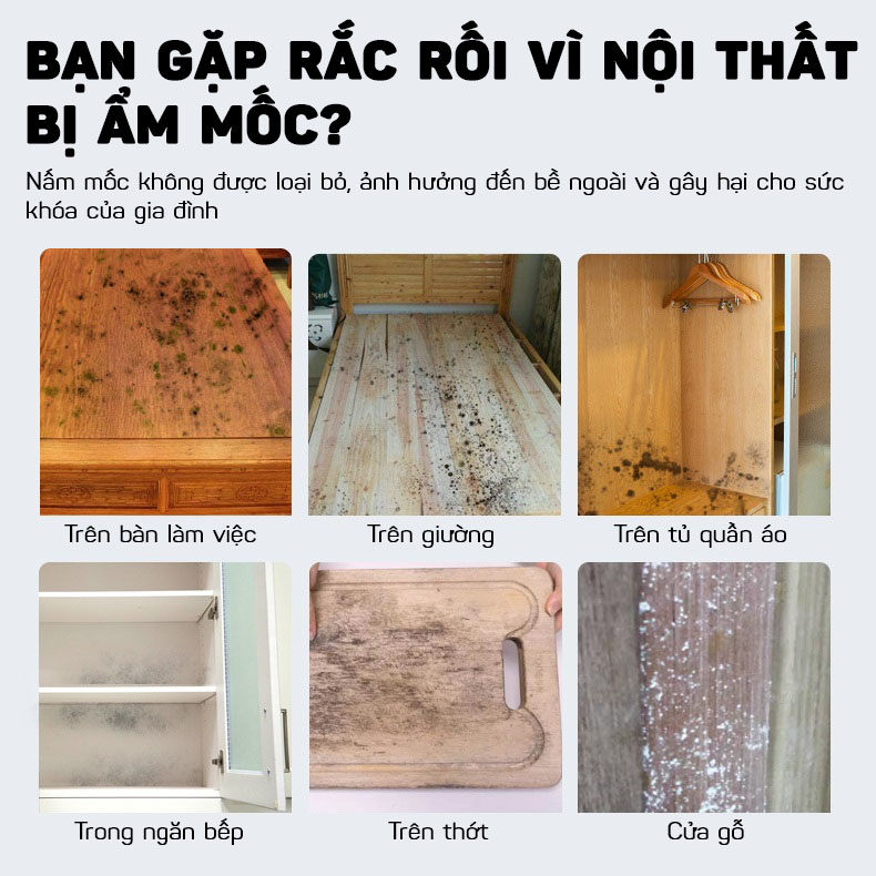 Dung Dịch Tẩy Nấm Mốc Siêu Sạch Đồ Gỗ, Đồ Nội Thất, Tủ Quần Áo Cao Cấp 500ml