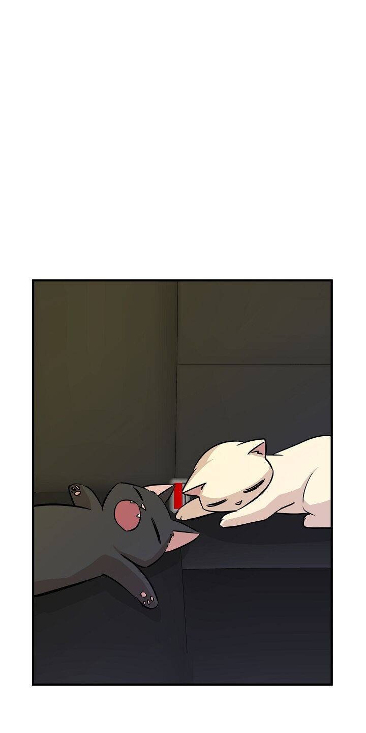 cuộc sống kỳ thú chapter 63 67