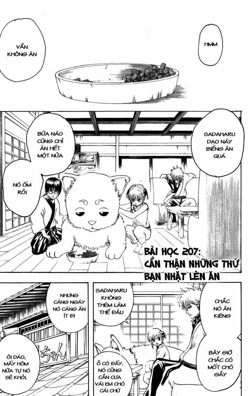 gintama - linh hồn bạc chapter 207 3