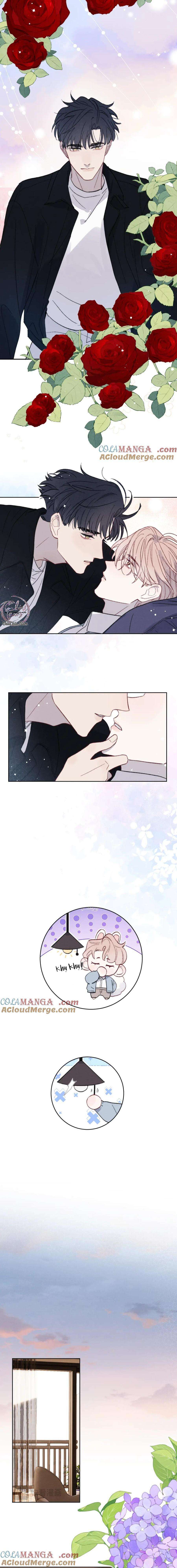 nhật ký thất tình của mr.nhung chapter 62 4