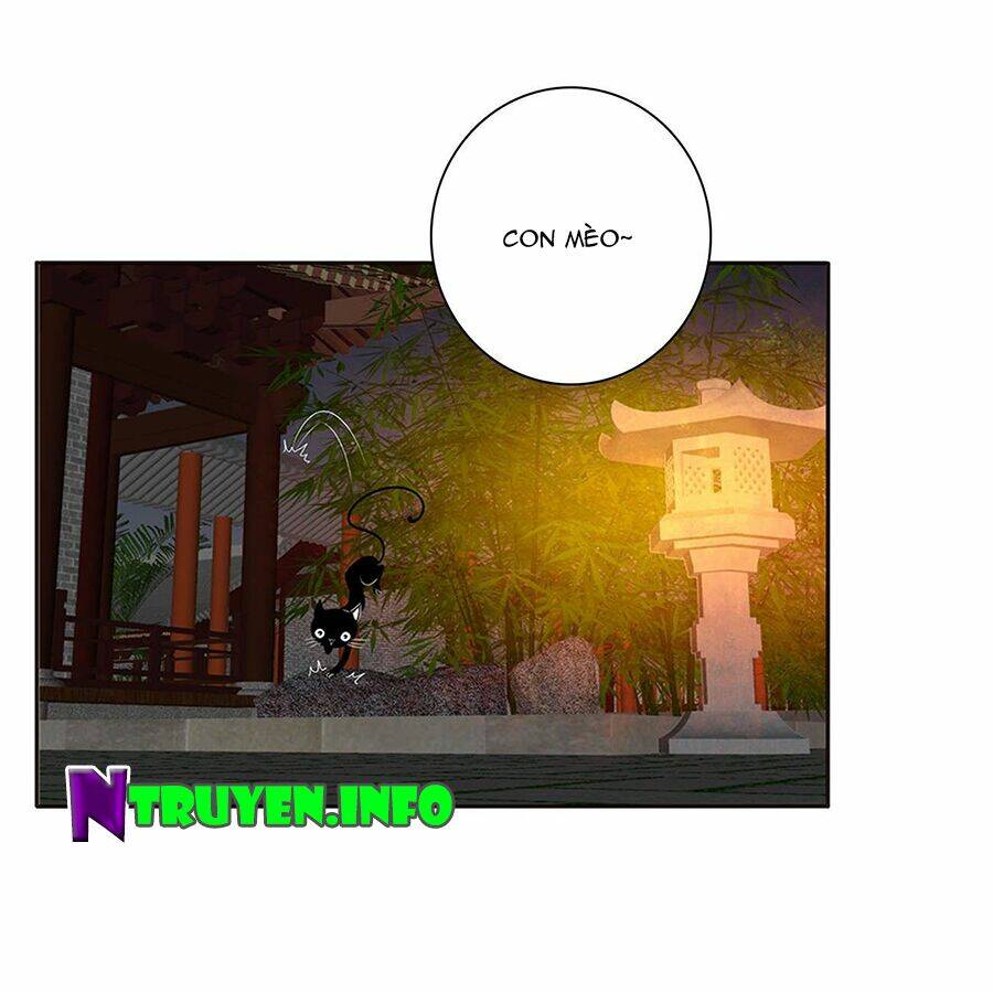 tướng quân mời ra trận chapter 157 12