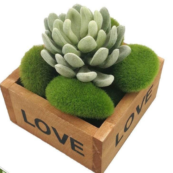 Combo 3 viên đá giả phủ rêu xốp trang trí tiểu cảnh, chậu hoa lan, làm terrarium