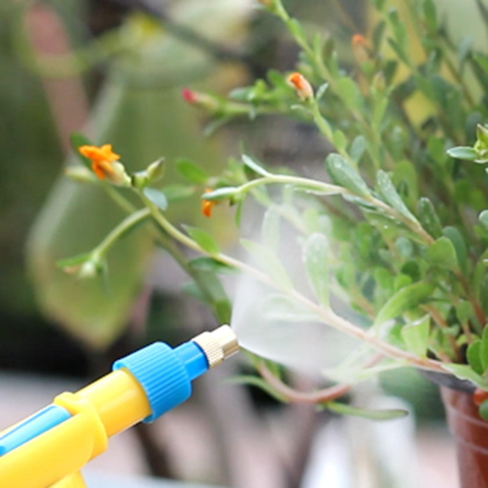 High Pressure Air Pump Sprayer Garden Sprayer for Bonsai Flower Gardening