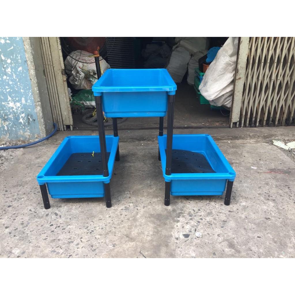 Combo 2 Chậu Nhựa 3 Tầng Nuôi Cá Bảy Màu - Nuôi Cá Guppy-Trống Rau Sach