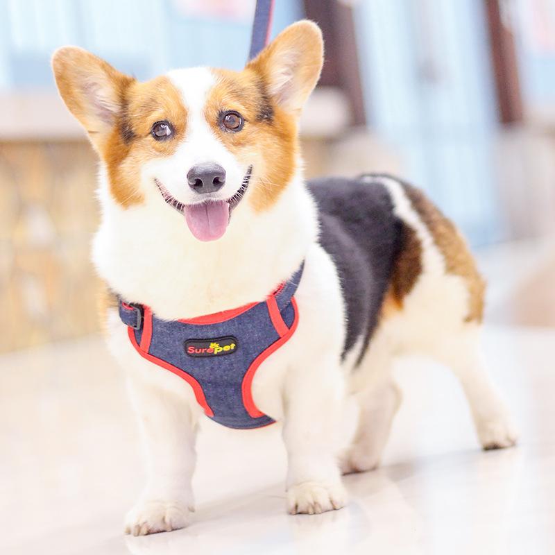Giá thấp nhất Phương pháp Corgi mới của Amazon dây xích dắt chó vừa và nhỏ xích xích chó dây đeo ngực denim bộ dây xích