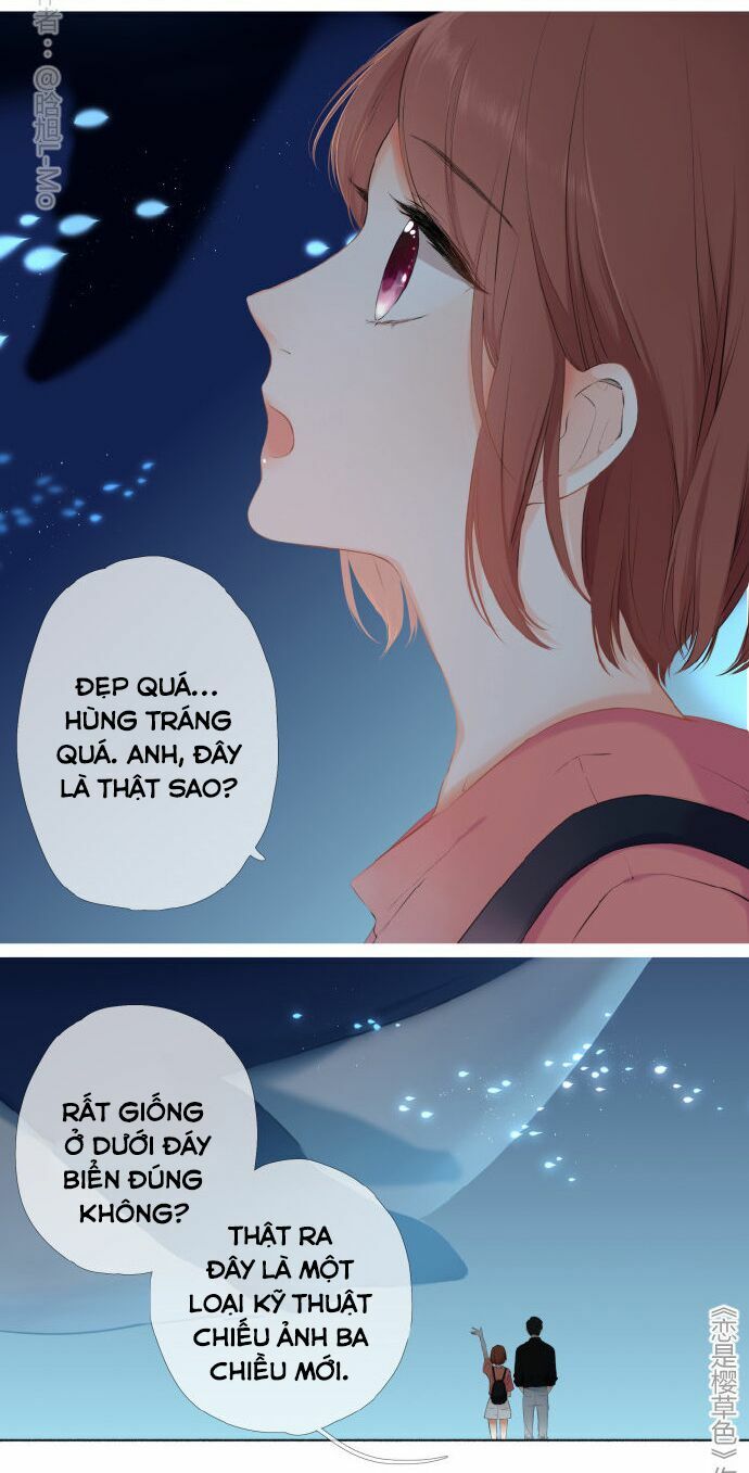 Tình yêu là màu hoa anh thảo chapter 37.3 22