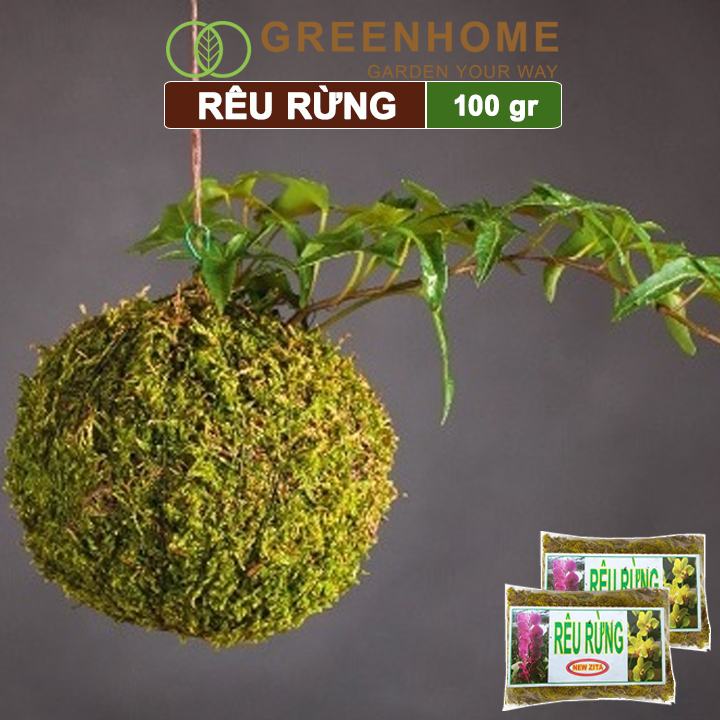 Rêu rừng Greenhome, Newzita, Gói 100gr, Đã Qua Xử Lý, Giá Thể, Giữ Ẩm Tốt, Kháng Khuẩn Tự Nhiên, Trồng Lan, Kiểng Lá