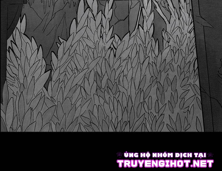 [18+] chim hoàng yến bé nhỏ của hades chapter 16 22