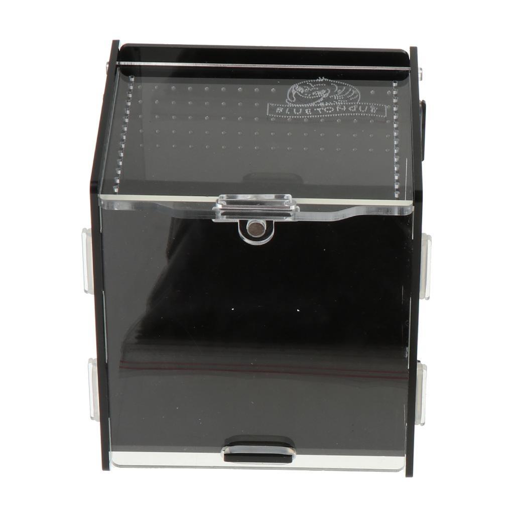 Reptile Vivarium Terrarium