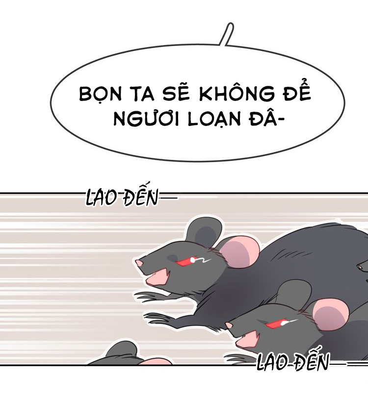 bộ váy của nàng tiên cá chapter 10 17