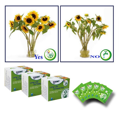 Dưỡng Hoa Gadot Agro Hộp 10 Gói