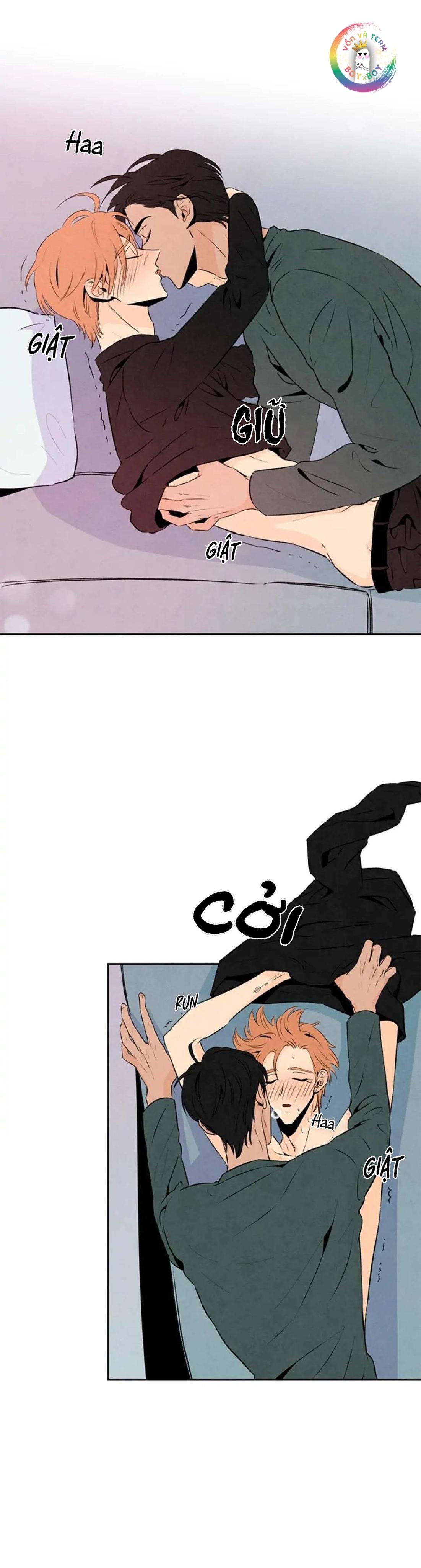 bona sort chapter 19 22