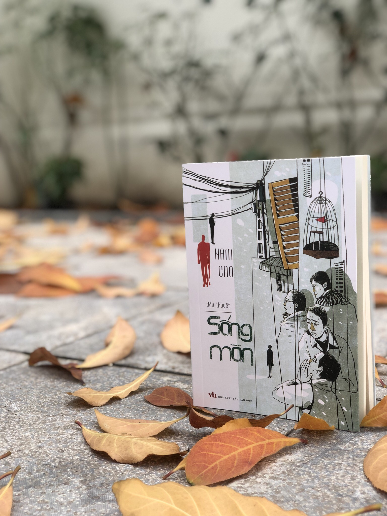 Sách: Tiểu Thuyết Sống Mòn