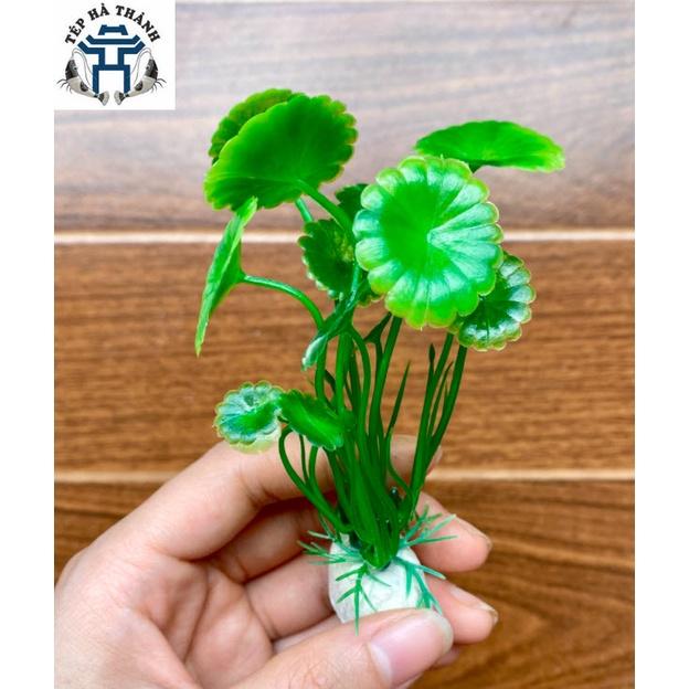 Cây Nhựa Trang Trí Bể Cá Cảnh