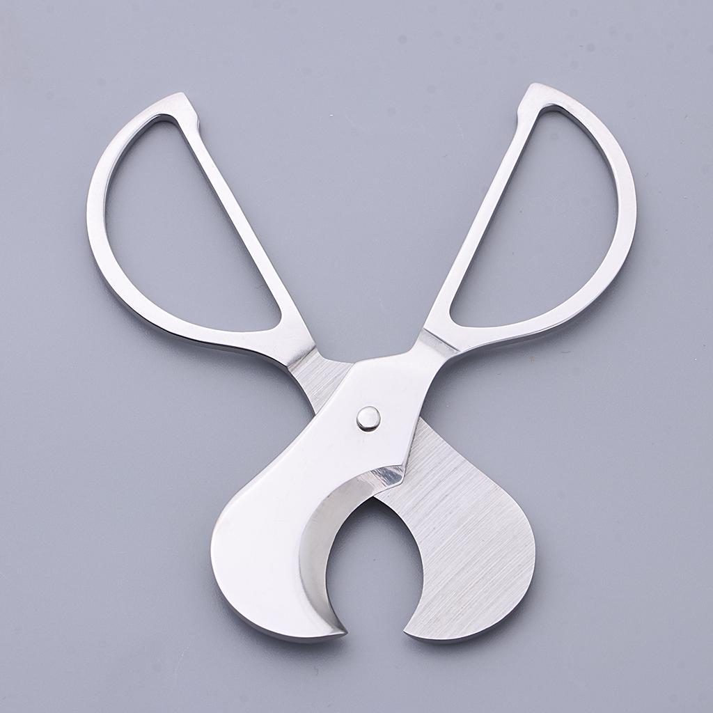 Stainless Steel       Scissors Tools