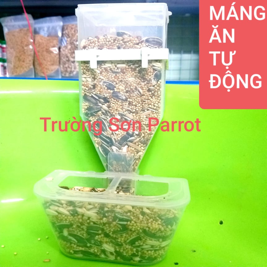 Máng ăn tự động cho gà, chim cảnh, các loại vẹt, yến....