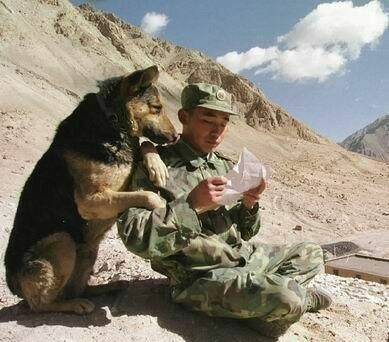 hình ảnh hài hước new chapter 12 13