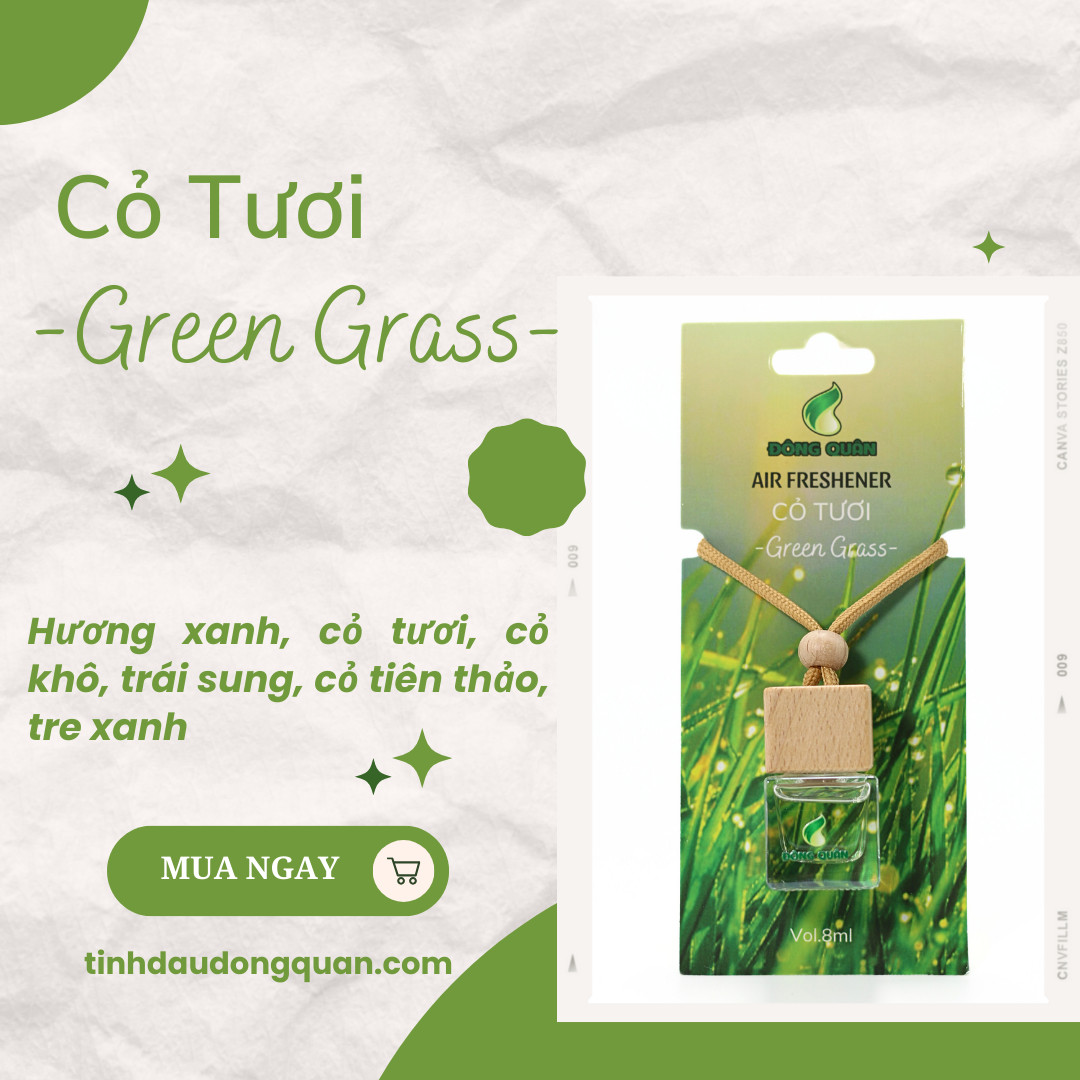 Tinh Dầu Treo Xe Ô Tô, Phòng Ngủ, Nhà Vệ Sinh, Tủ Quần Áo, Tủ Giầy, Bỏ Cốp Xe, Balo Giúp Làm Thơm, Thư Giãn, Khử Mùi Hôi