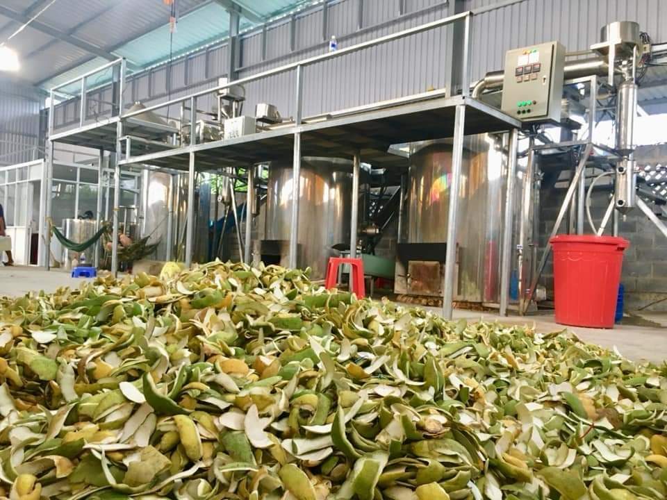 Tinh dầu Bưởi Da Xanh 100ml nguyên chất từ vỏ bưởi thiên nhiên, xông phòng, khử mùi, thơm phòng, đuổi muỗi - KingOil