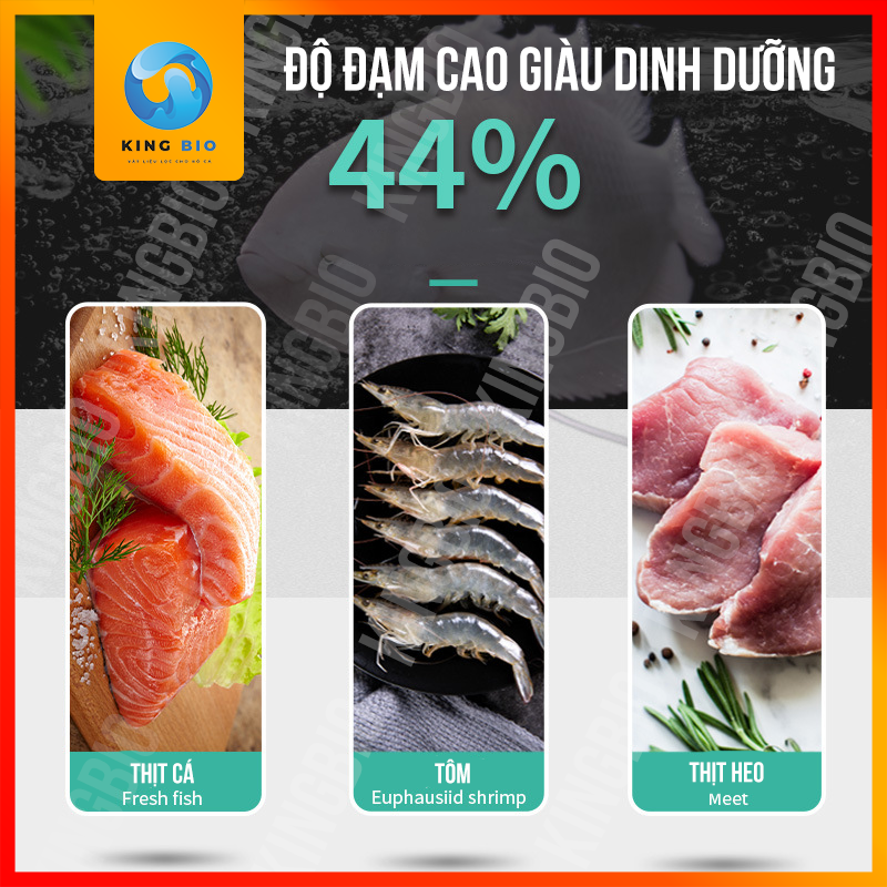 Cám cho cá phát tài - Thức ăn giàu đạm và tảo xoắn cho cá phát tài