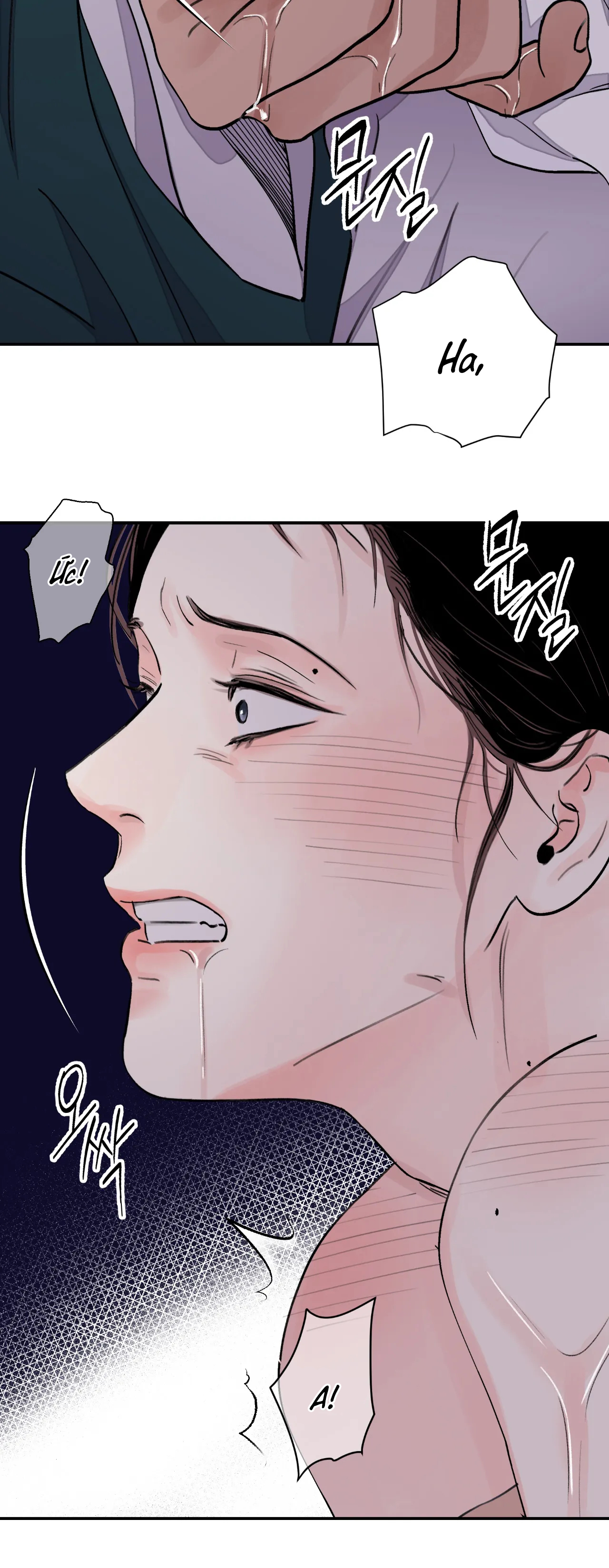 [18+] trượng kiếm tựa hoa chapter 21.2 18